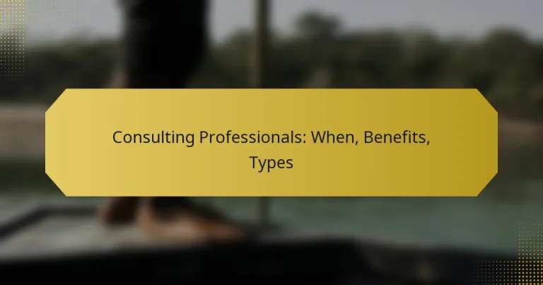 Consulting Professionals: When, Benefits, Types