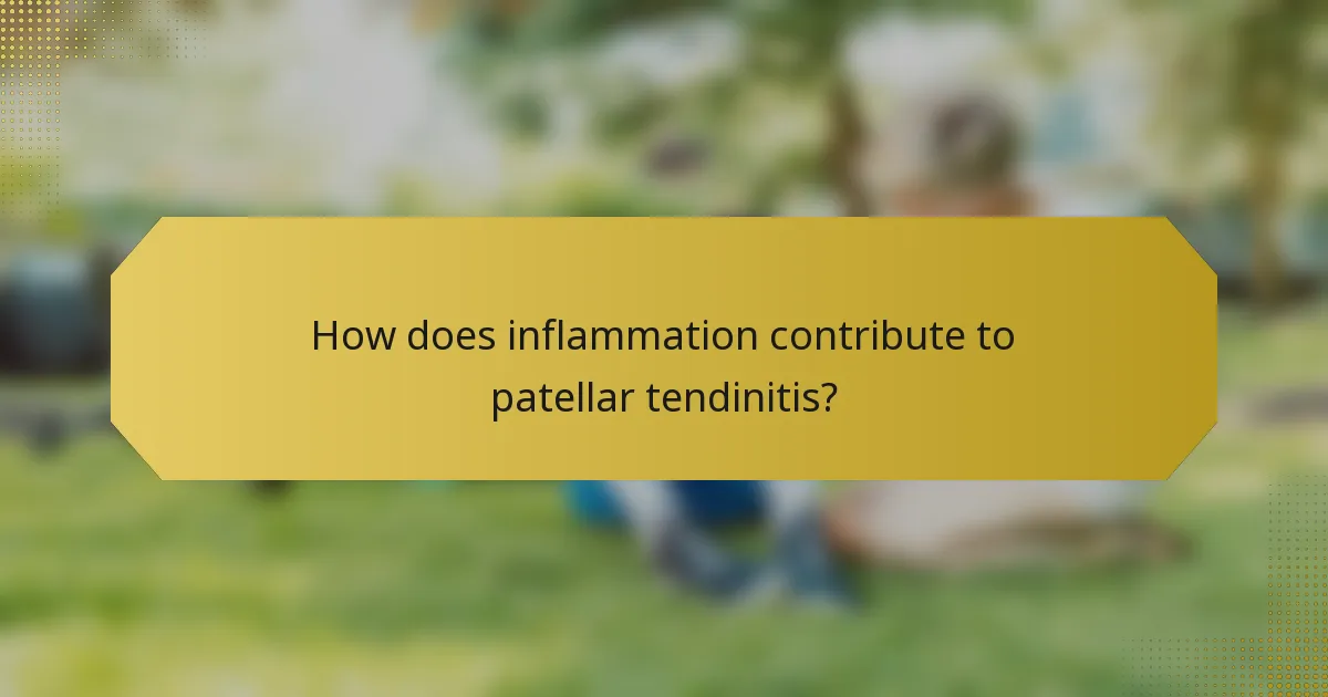 How does inflammation contribute to patellar tendinitis?