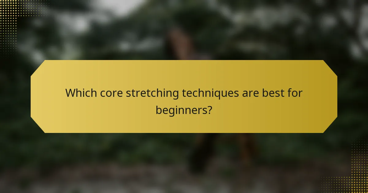 Which core stretching techniques are best for beginners?